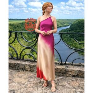 ZARA Blogger Favorite Crossback Midi Dress NWT
